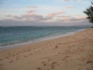 img_0290